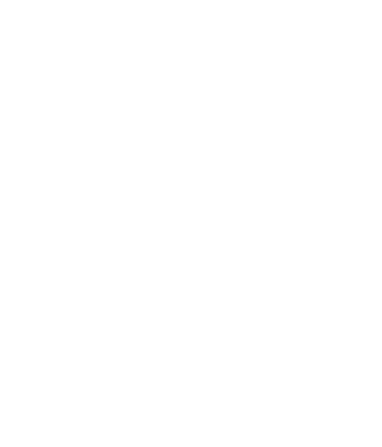 Security Gate Systems